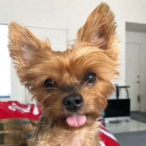 Meet your Posher, Allison